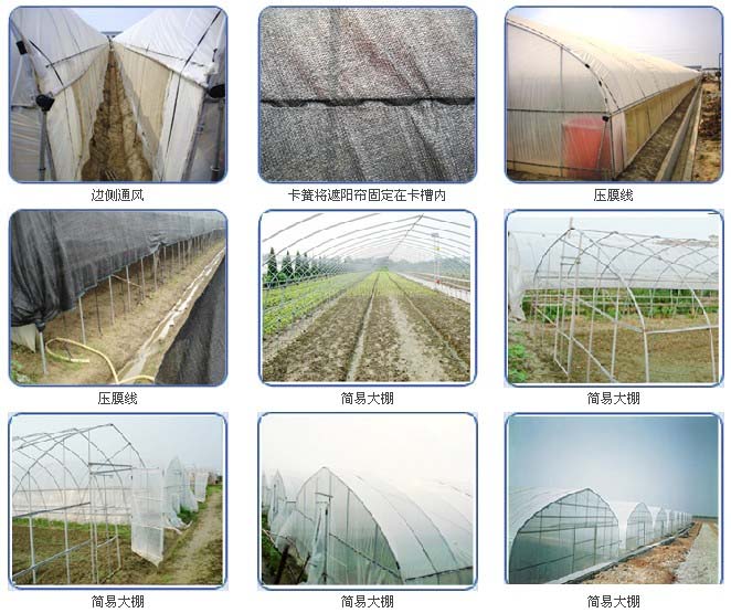 固定大棚薄膜，簡易大棚安裝完成