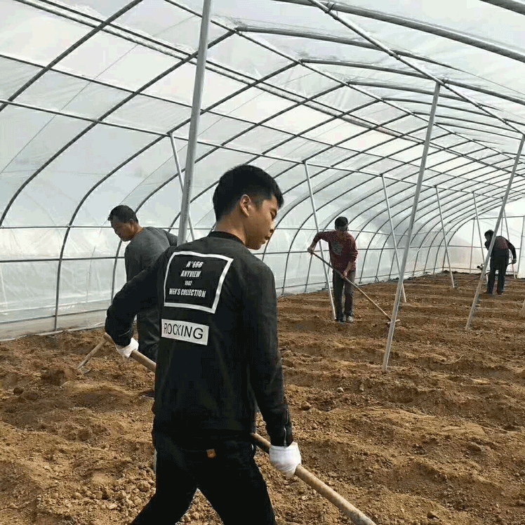 簡(jiǎn)易拱棚高清圖片 簡(jiǎn)易拱棚高清圖片