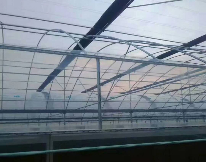 簡易連棟大棚圖片