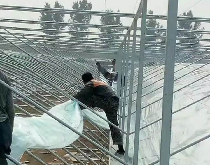 簡易連棟大棚高清圖片